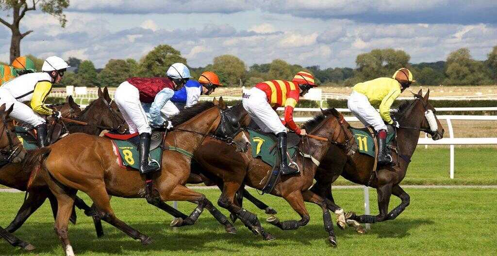 horse-racing | Battersea Helicopter Horse racing by helicopter